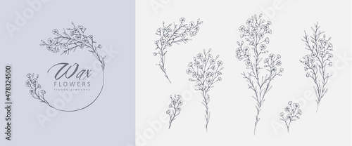 Waxflowers floral logo and branch set. Hand drawn line wedding herb, elegant leaves for invitation save the date card. Botanical rustic trendy greenery