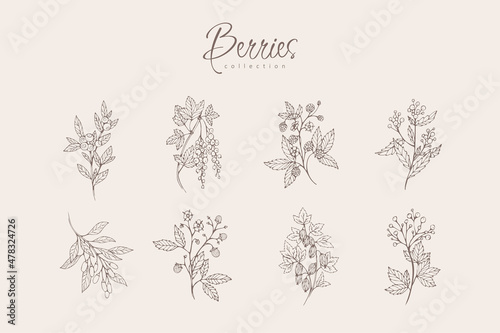 Different berries floral branch set. Hand drawn line wedding herb, elegant leaves for invitation save the date card. Botanical rustic trendy greenery