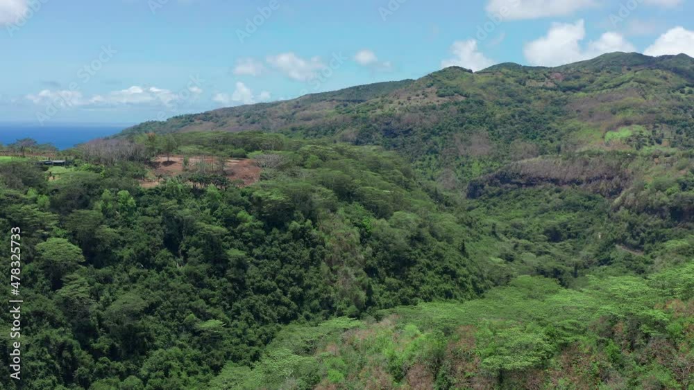landscape of a pacific island with lagoon in aerial view. Green jungle. landscape of a pacific island with lagoon in aerial view. Green jungle.