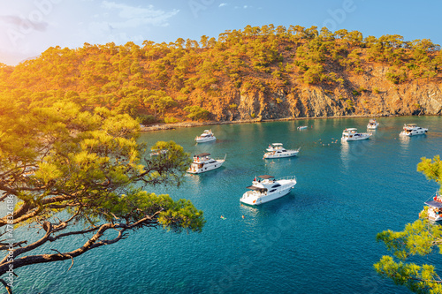 Foto Panoramic seascape of paradise bay in the middle of pine forest with many yachts and boats