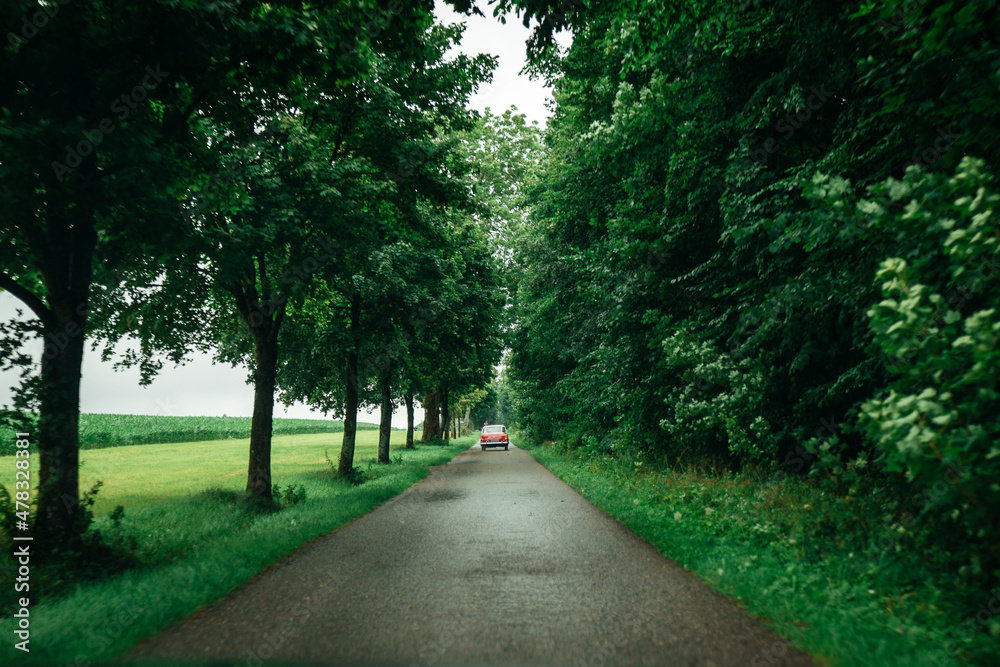Obraz premium Ein Oldtimer Auto fährt durch eine Allee