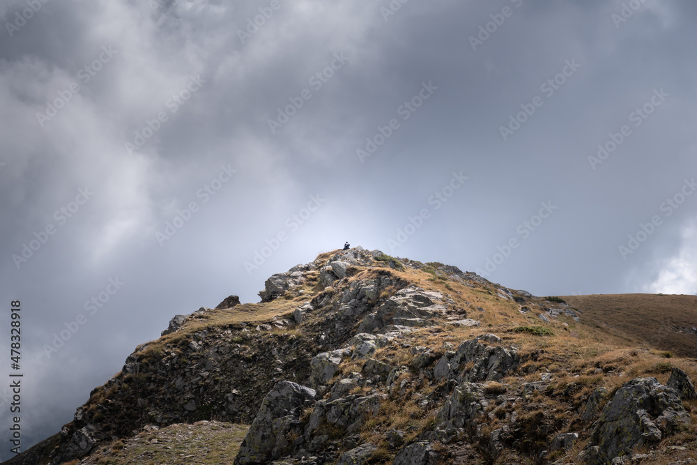 Large crow standing at the summit of Rila mountain against a murky sky