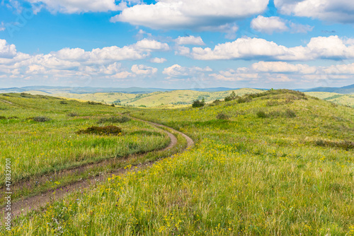 Wallpaper Mural A winding field road among the hills. Summer landscape. Altai, Siberia, Russia. Torontodigital.ca