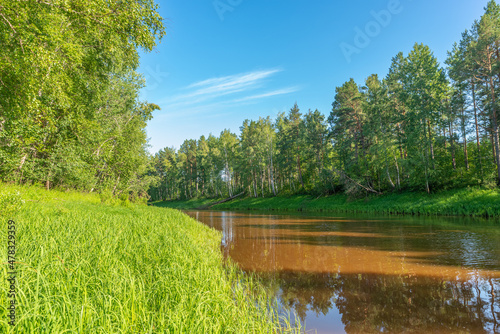 Wallpaper Mural River in the forest with tall grass on the banks. Cloudy water. Summer landscape Torontodigital.ca