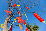 Red Chinese knots and paper Lanterns hanging on trees for Chinese Lunar New Year