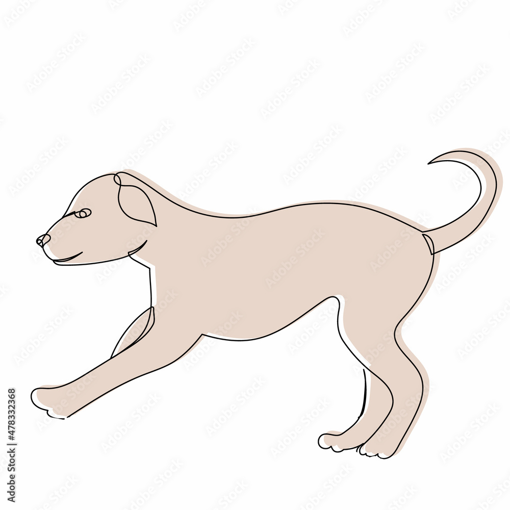 puppy, sketch, line drawing vector, isolated