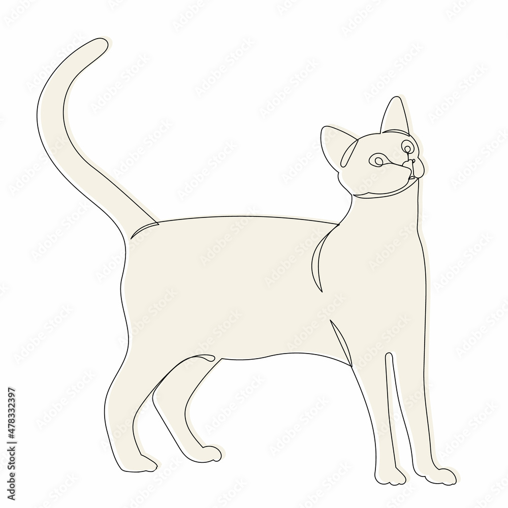 cat, sketch, line drawing isolated