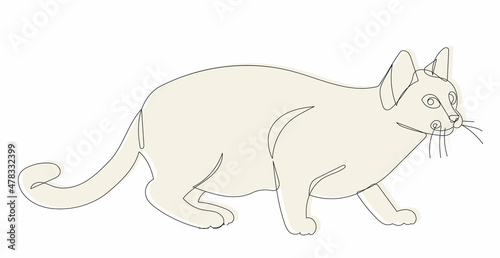 cat  sketch  line drawing vector  isolated