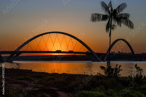 Sunset at JK Bridge in Brasília, Brazil. Silhouette of a palm tree on the shore of Lake Paranoá. photo