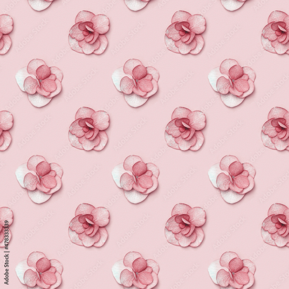 Minimal floral design pattern with fresh Hydrangea pink flower, romance monochrome Holiday concept with plain flowers for Mothers or Womens day, Valentines celebration. Flowery composition Minimal floral design pattern with fresh Hydrangea pink flower, romance monochrome Holiday concept with plain flowers for Mothers or Womens day, Valentines celebration. Flowery composition