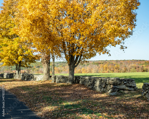 A farmer's field in the fall bordered by stonewalls in Hardwick, Massachusetts photo