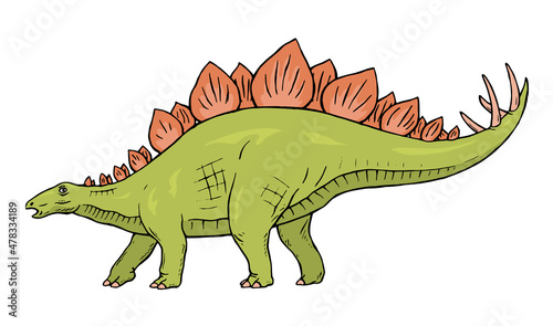 Stegosaurus herbivorous dinosaur on white background. There are plates on the back  sharp thorns on the tail. Jurassic prehistoric animal. Vector isolated cartoon illustration hand drawn