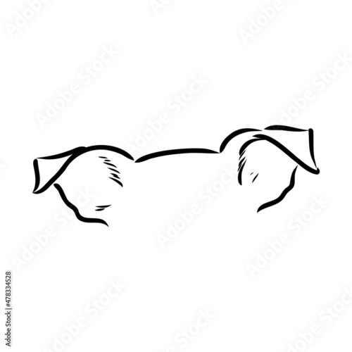 simple dog. Vector illustration. dog ears vector sketch