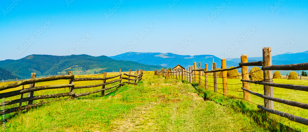 Great countryside mountains landscape in summer morning. Attractive scene on a sunny day. Fresh seasonal background. Discover the beauty of earth - obrazy, fototapety, plakaty 