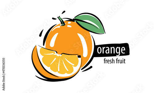 Drawn vector orange on a white background