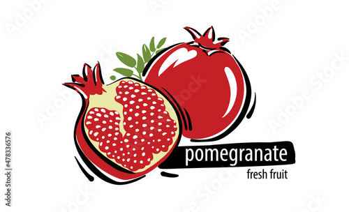 Drawn vector pomegranate on a white background