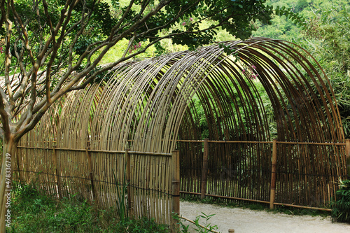 arche de bambou photo