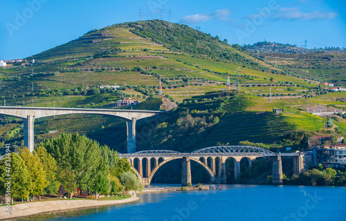 Valokuvatapetti Brücken   Weinregion des Douro-Tals terrassenförmigen Hänge Portwein Region Port