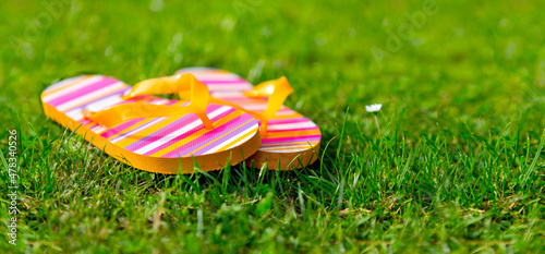 Bunte Flipflops in einer grünen Wisee