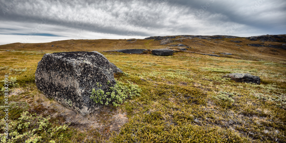 Tundra landscape in west Greenland Tundra landscape in west Greenland