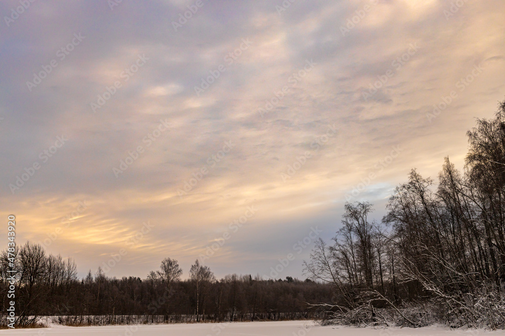 Landscape of the middle latitudes, Russia, a field in the snow in winter Landscape of the middle latitudes, Russia, a field in the snow in winter