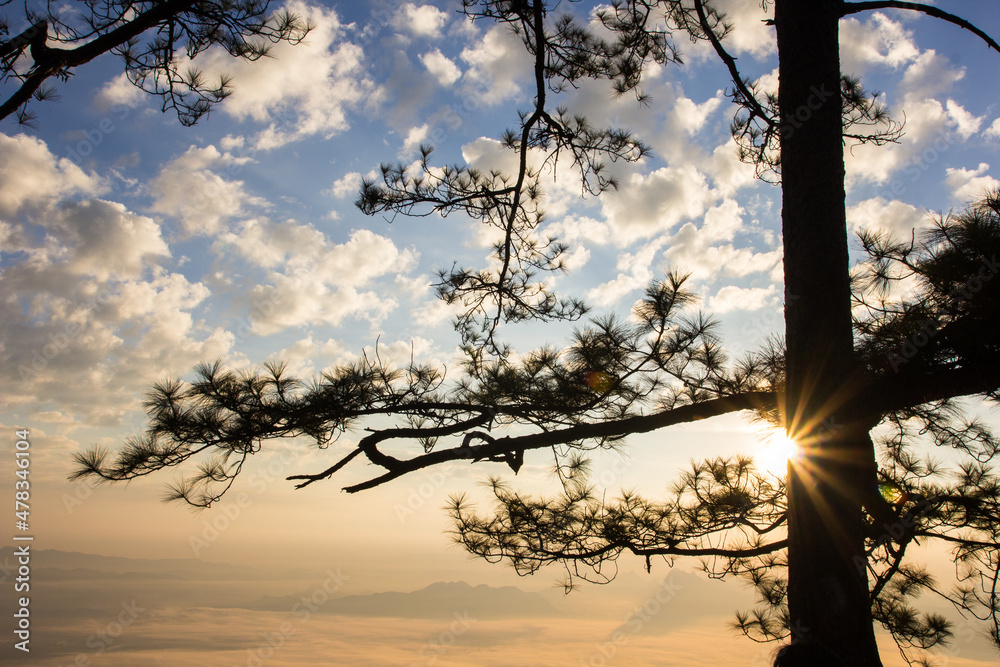 Sunrise at Phukradung National Park, Thailand Sunrise at Phukradung National Park, Thailand
