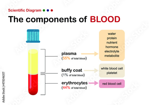 scientific diagram show the component of blood contained plasma, white blood cell and red blood cell