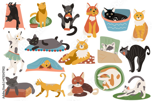 Cute cats isolated elements set. Bundle of kittens lying, sitting, sleeping, playing, expression of emotions and scenes of domestic animals. Creator kit for illustration in flat cartoon design © alexdndz