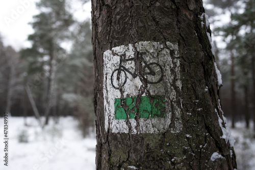 Green cycle path sign is painted on tree in the forest. 