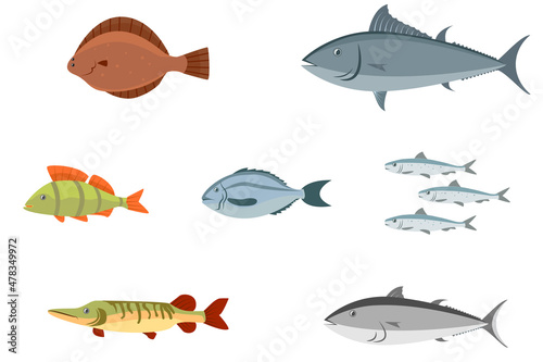 various sea fish and freshwater fish