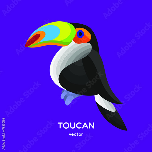 vector isolated cartoon tocan bird 