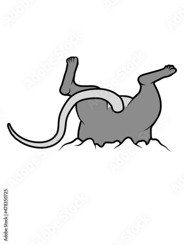 Maus steckt fest 