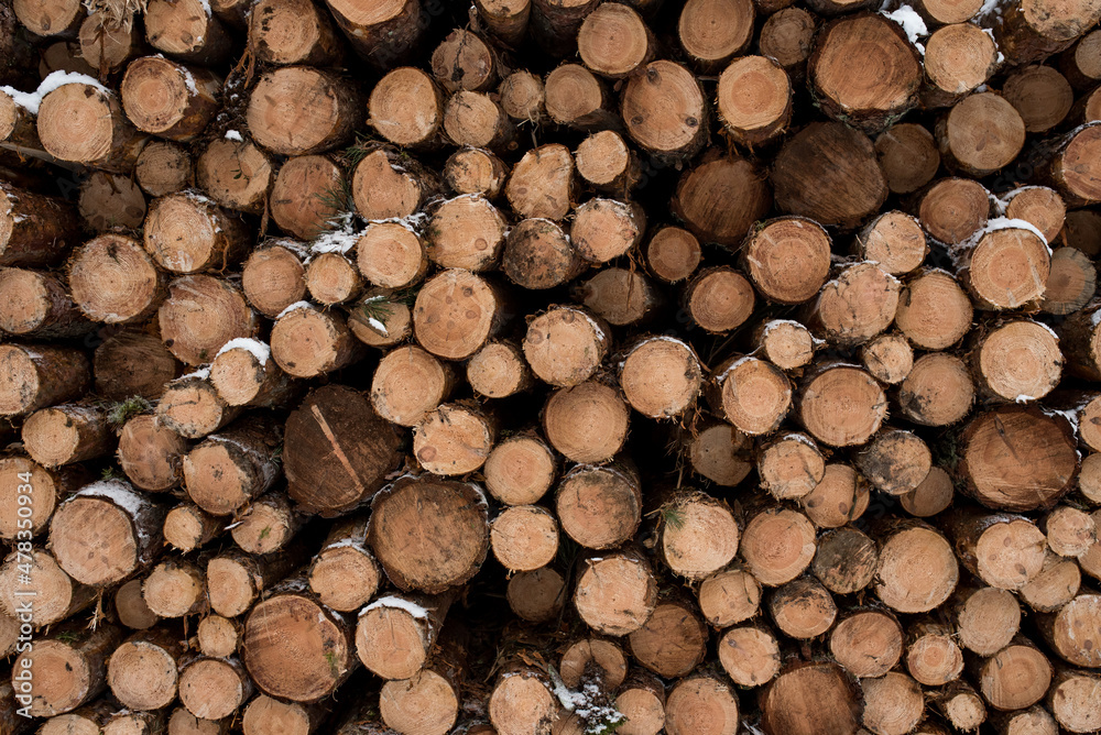 Fototapeta premium Industrial wood stacked, ready for transport.