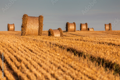 Fototapeta Naklejka Na Ścianę i Meble -  View of the Masurian fields.