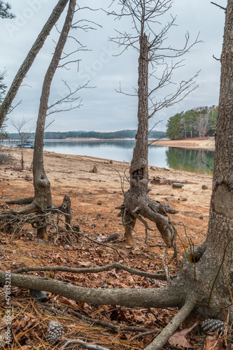 Erosion at Lake Lanier in Georgia
