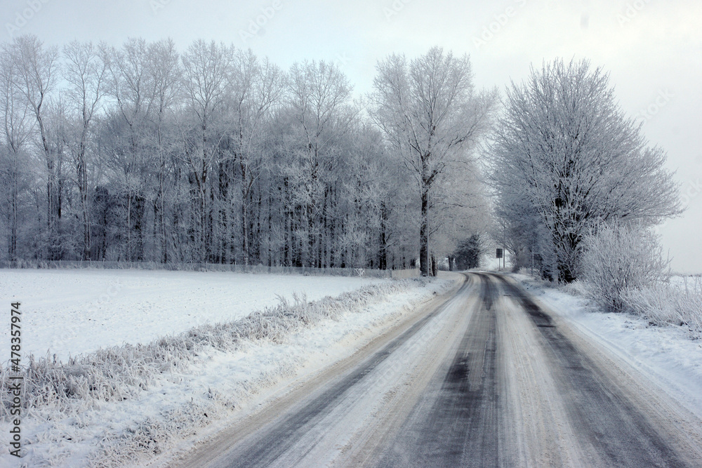 frozen landscape, woodland and animal habitat and wildlife in extreme weather frozen landscape, woodland and animal habitat and wildlife in extreme weather