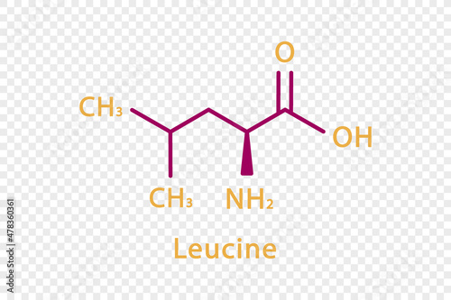 Leucine chemical formula. Leucine structural chemical formula isolated on transparent background.