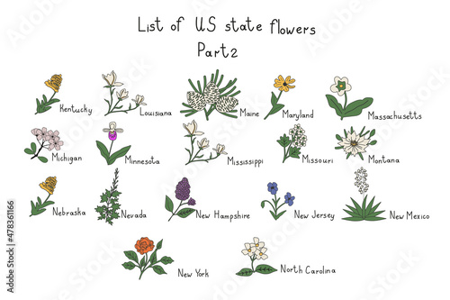 US state flowers