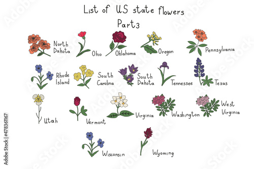 US state flowers photo