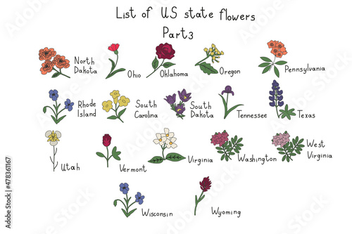 US state flowers
