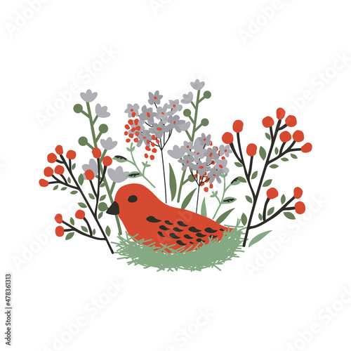 Bird on the nest