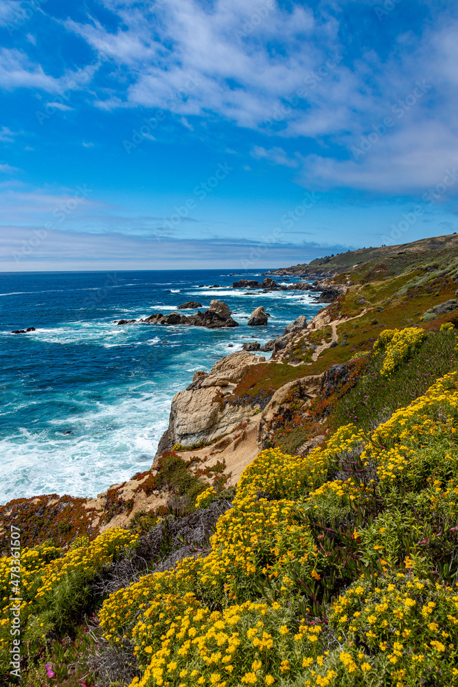 Obraz premium Vibrant Coastal 002