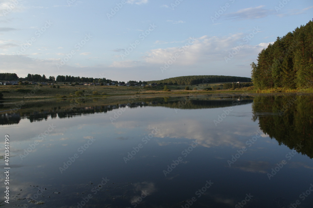 reflection of trees in water