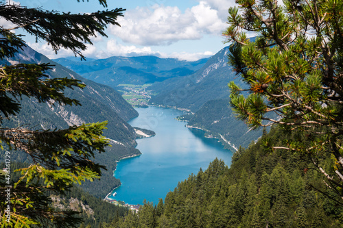 View on the lake Achen from mountain through needle tree photo