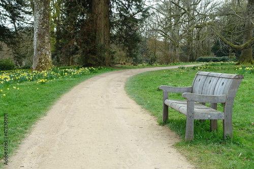 Scenic view of a path and bench in the park