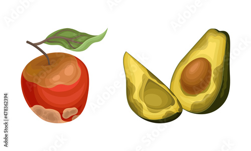 Decomposed Stinky Rotten Fruit with Avocado and Apple Having Bad Spots Vector Set photo