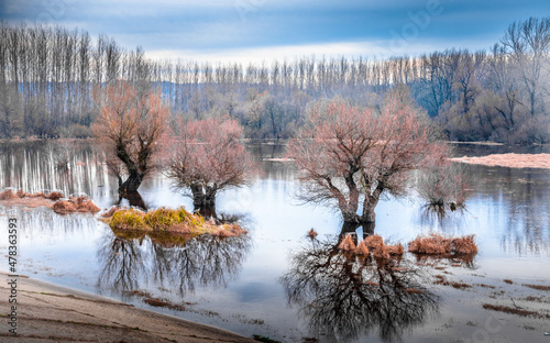 Obraz na płótnie Scenic beautiful fall autumn lake landscape scenery at sundown w salonie