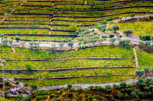 Reportage Portugal