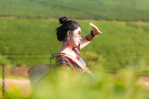 Asian tourists woman among many tea plantations at Chouifong Tea Farm Chiangrai, Thailand  photo