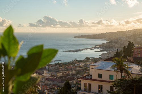 View of Naples, Italy, at sunset from the Vomero district with a green plant in the foreground.   © Stefano Tammaro